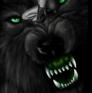 Meet your Posher, Donovan